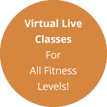 Virtual Classes for Fitness